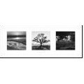 Ansel Adams 'Fiat Lux: Trilogy' Framed Art Print