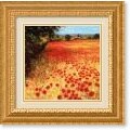 Steve Thoms 'Field of Red and Gold' Framed Art Print
