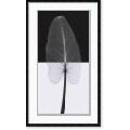 Steven N. Meyers 'Calla Leaf I' Framed Art Print