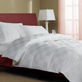 Castlepeak 310 Thread Count Oversized Down Blend Comforter