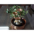Unique Arts 3-leaf Fountain