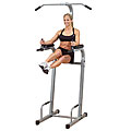 Powerline Vertical Knee Raise Chin Dip Machine