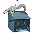 Homestead Super Stop-A-Squirrel Bird Feeder