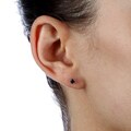 Sterling Silver 1/4ct TDW Black Diamond Stud Earrings