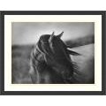 Tony Stromberg 'Fierce Grace' Framed Art Print