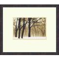 David Lorenz 'Winston Past Dreams, 2002' Framed Art Print