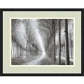 Chip Forelli 'Tree Parade, 2003' Framed Art Print