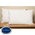 Splendorest Angel Soft 220 TC Cotton Down Alternative King-size Pillows (Set of 2)