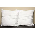 Polyester Euro-size Pillows (Set of 2)
