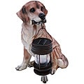 Tricod Golden Retriever Dog with Solar Light Lantern