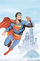 Superman, 12 issues for 1 year(s)