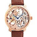 Akribos XXIV Men's 'Davinci' Mechanical Watch