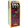 Styrofoam Painted DNA Kit