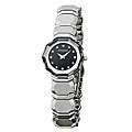Wittnauer Women's Winter Garden Steel Watch