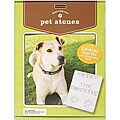 Make Your Own Pet Stone