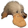 Webkinz Googles and Cards Set