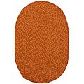 Free relevant guidepost for Lemonade Bulk Lemonade Indoor/ Outdoor Colorful Orange Braided Rug (2' x 5')