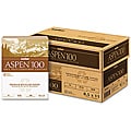Boise Aspen Recycled Office Paper (Case of 5,000 Sheets)