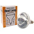 Shat-R-Shield 250 Watt Clear Heat Coated Lamp