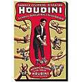 Few facts about surf Art 'Houdini: The World's Handcuff King and Prison Breaker' Canvas Art