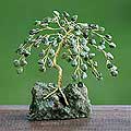 'Olive Branch of Peace' Gemstone Tree (Brazil)