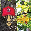 St Louis Cardinals Forest Face