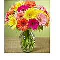 (Valentine's Day Pre-order) Colorful Gerbera Daisies