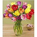 (Valentine's Day Pre-order) Assorted Tulip Bouquet (20 Stems)