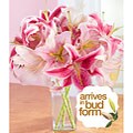 'Thinking of You' Flower Bouquet