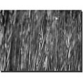 Free useful data on abstract Still Kurt Shaffer 'Reed Abstract' Gallery-wrapped Art