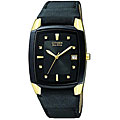 Citizen Men's Eco-drive Stainless Steel Leather Watch