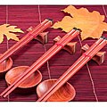Inlaid Wood Stripe Design 18-piece Chopsticks Set