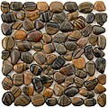 SomerTile 12x12-in Riverbed Tiger Eye Natural Stone Mosaic Tile (Pack of 11)