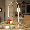 Fontaine Brushed Nickel Residential Spring Kitchen Faucet