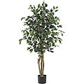 Ficus 4-foot Silk Tree