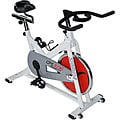 Stamina CPS 9190 Indoor Cycle