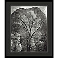 Ansel Adams 'Autumn Tree Against Cathedral Rocks, Yosemite' Framed Art Print