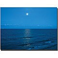 David 'Blue Waves' Gallery-wrapped Canvas Art