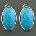 Stainless Steel Oval Turquoise Earrings (China)