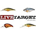 Free correlative info on target shabby chic baby bedding Live Target Walleye Assortment Fishing Lures