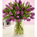 (Valentine's Day Pre-order) 30 Purple Tulips