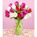 (Valentine's Day Pre-order) 20 Sweetheart Tulips