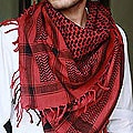 Cotton 'Ruby Houndstooth' Scarf (India)