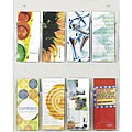 Safco Clear2c 8-pamphlet Display