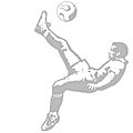 Flipkick Sudden Shadows Wall Decal