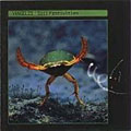 Vangelis - Soil Festivities