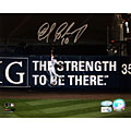 MLB Endy Chavez 'Robbing Game 7 Home Run' 8x10 Photograph