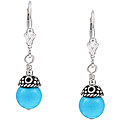 Charming Life Sterling Silver Turquoise Earrings