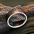 Wood 'Love of Nature' Men's Ring (Brazil)
