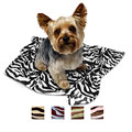 Zebra Print Pet Throw